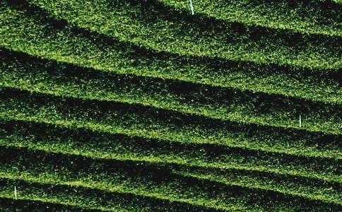 ���~ί�мӹ���ͬ9ƪ