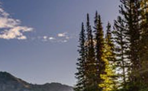 2022年精選優(yōu)美風(fēng)景句子集錦50句