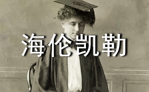 �P(gu��n)�ں����P�յ��x������