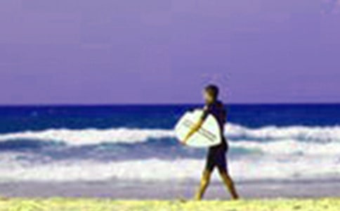 �������g���҄�(w��)�ĵ��w��(hu��)��ͨ��7ƪ��