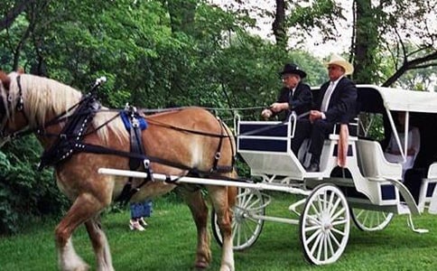 我的寶馬車作文