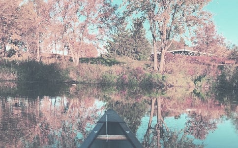 秋季少先隊工作總結(jié)