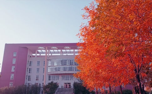 ����˽�Z����15ƪ(���T)