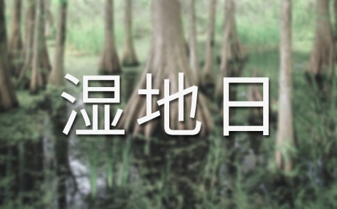 ���������������(d��ng)��(sh��)ʩ������ͨ��6ƪ��