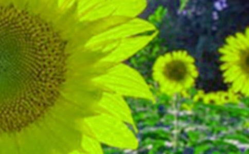 �����T(m��n)�����տ�����