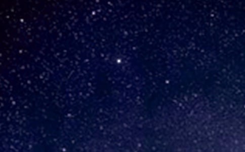 ����������Щʲô���x����x�д�