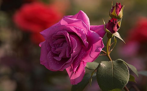 ��������䛾��x