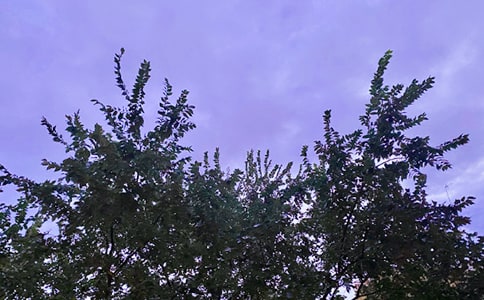 �����]���簲�������QQ��R��20��