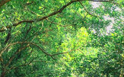 ��(j��ng)��Ψ���簲�İ�35��