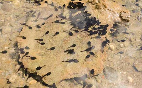 �����A��С������������