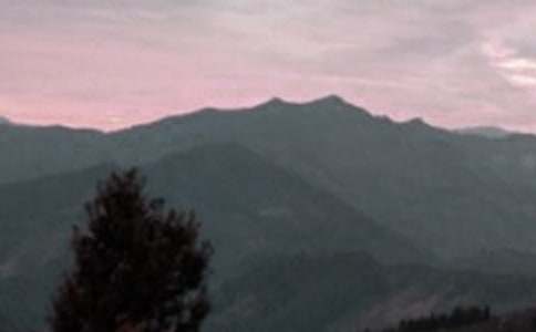 《黃山松》閱讀答案優(yōu)秀