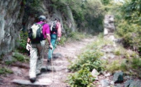 爬山的樂趣作文