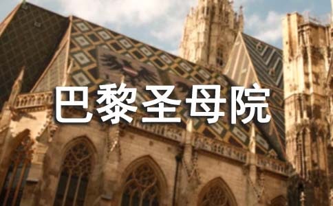 巴黎圣母院讀書筆記心得體會