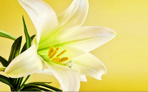 �x�������ϵİٺϻ����и�15ƪ