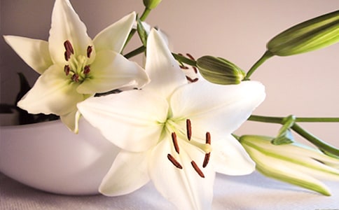 �������ϵİٺϻ����x��з��ģ�ͨ��10ƪ��