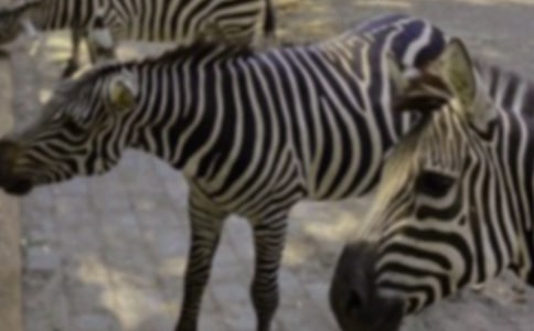 С����R����ȫ�̰�7ƪ