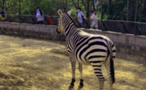 С������̰����R·�ϵİ��R����