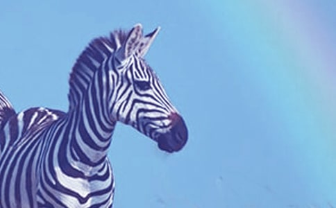 �R·�ϵİ��R��С������̌W�̰�