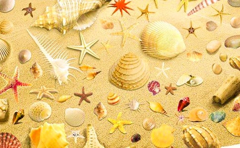 ����(sh��)�ã�ؐ������