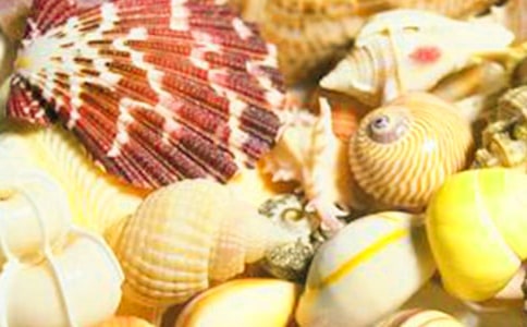 ؐ�����ͽ̰�