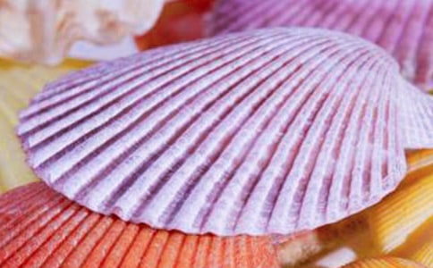 �˽̰����꼉�σԡ��s���͡�ؐ�����̰�