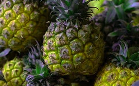 �����}�����g(sh��)�̰������x10ƪ��