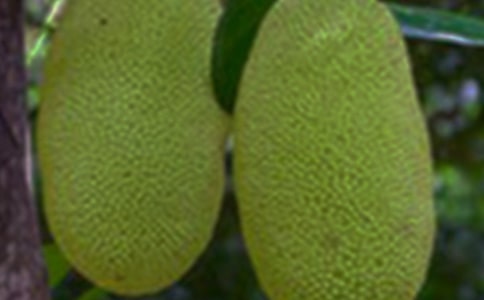 ���}�۵ĺ���ô�Է�