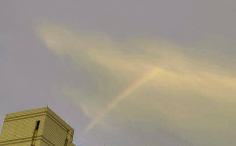 �������ɫ��һ�ʺ���ӛ