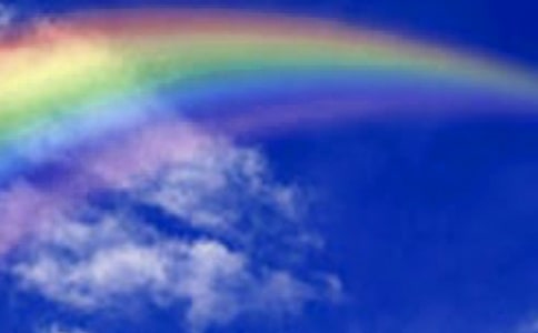 ����L�����ʺ�ıM�^��