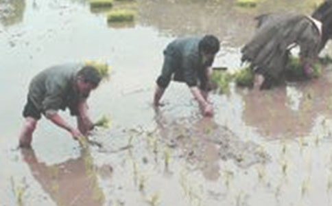 ��������400�֣����x25ƪ��