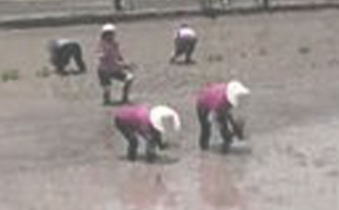 �P(gu��n)��ż��������(ji��)����ӛ