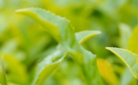 ���~�ƏV�İ�