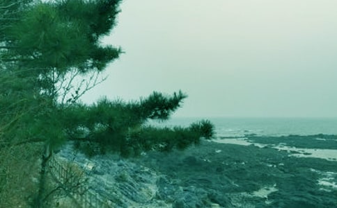 �����L(f��ng)���Ľ̰�