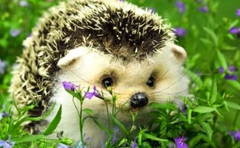 ��⬝h˹�Ľ̌W(xu��)�O(sh��)Ӌ