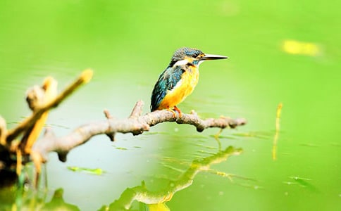 �����B���̰�����