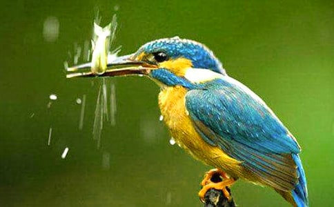 �����B����Ʒ�̰�