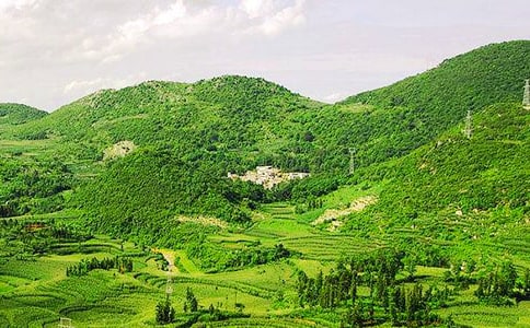 ��ɽ�v�w�ĉ�Ԋ���p��