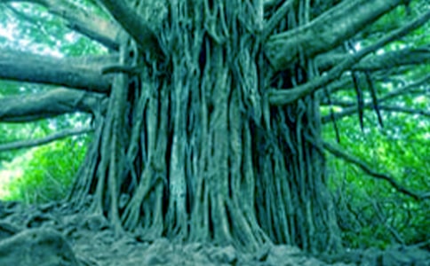 ��С���c���Č�Ԓ����(y��u)��̌W(xu��)�O(sh��)Ӌ(j��)