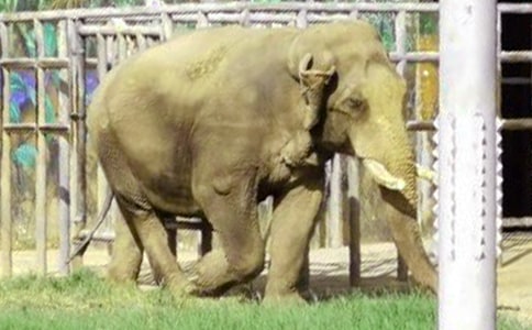 ���o����δ̡��x��У�ͨ��8ƪ��