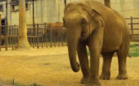 ����Ķ����x��У�ͨ��15ƪ��