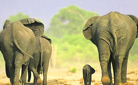 ��������꼉�ƌW�Խ̰���ͨ��20ƪ��