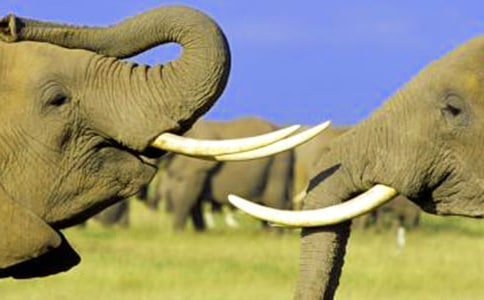 �а����g(sh��)����̰���ͨ��10ƪ��