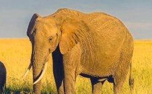 ���t��˵Ĵ����x���