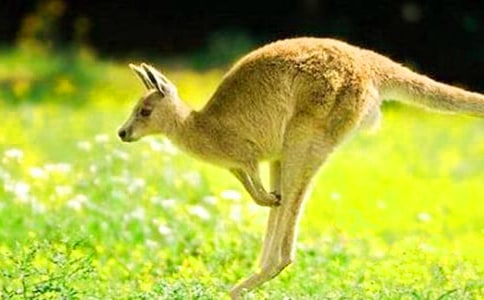 �w����С�����\(y��n)��