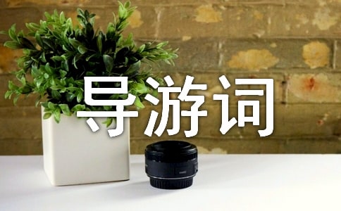 �v�R�ꍿ�ɽ��(d��o)���~3ƪ