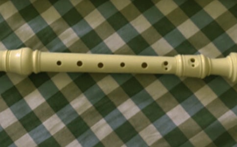 笛子作文600字(精選24篇)