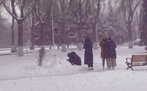 ���ӛ䛣������S�P