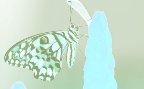 �^���ֲ������ģ�ͨ��24ƪ��