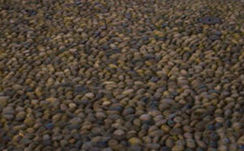 記憶中的鵝卵石作文