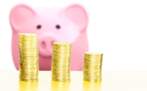 觀察發(fā)財樹作文(35篇)